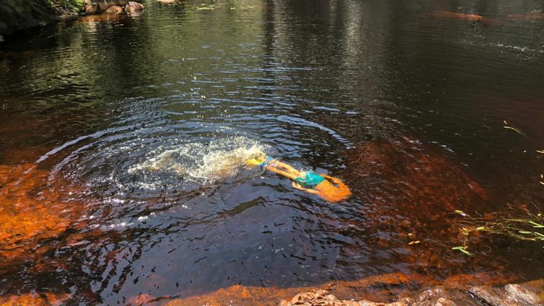 swimming-768x432